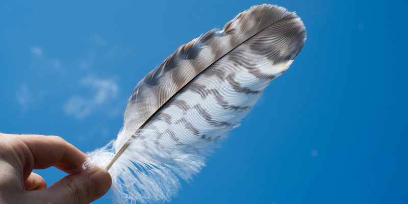 Photo de Jenelle Hayes sur Unsplash